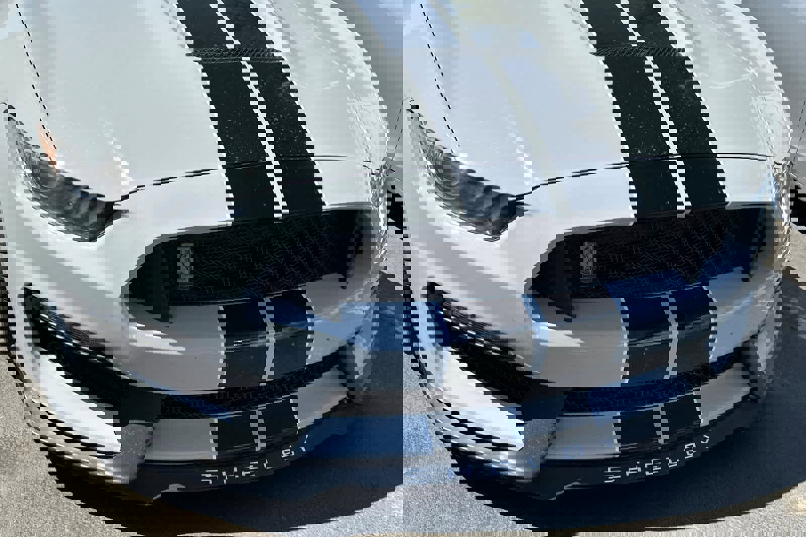 Used 2016 Ford Mustang Shelby GT350 w/ Technology Package RWD image 9