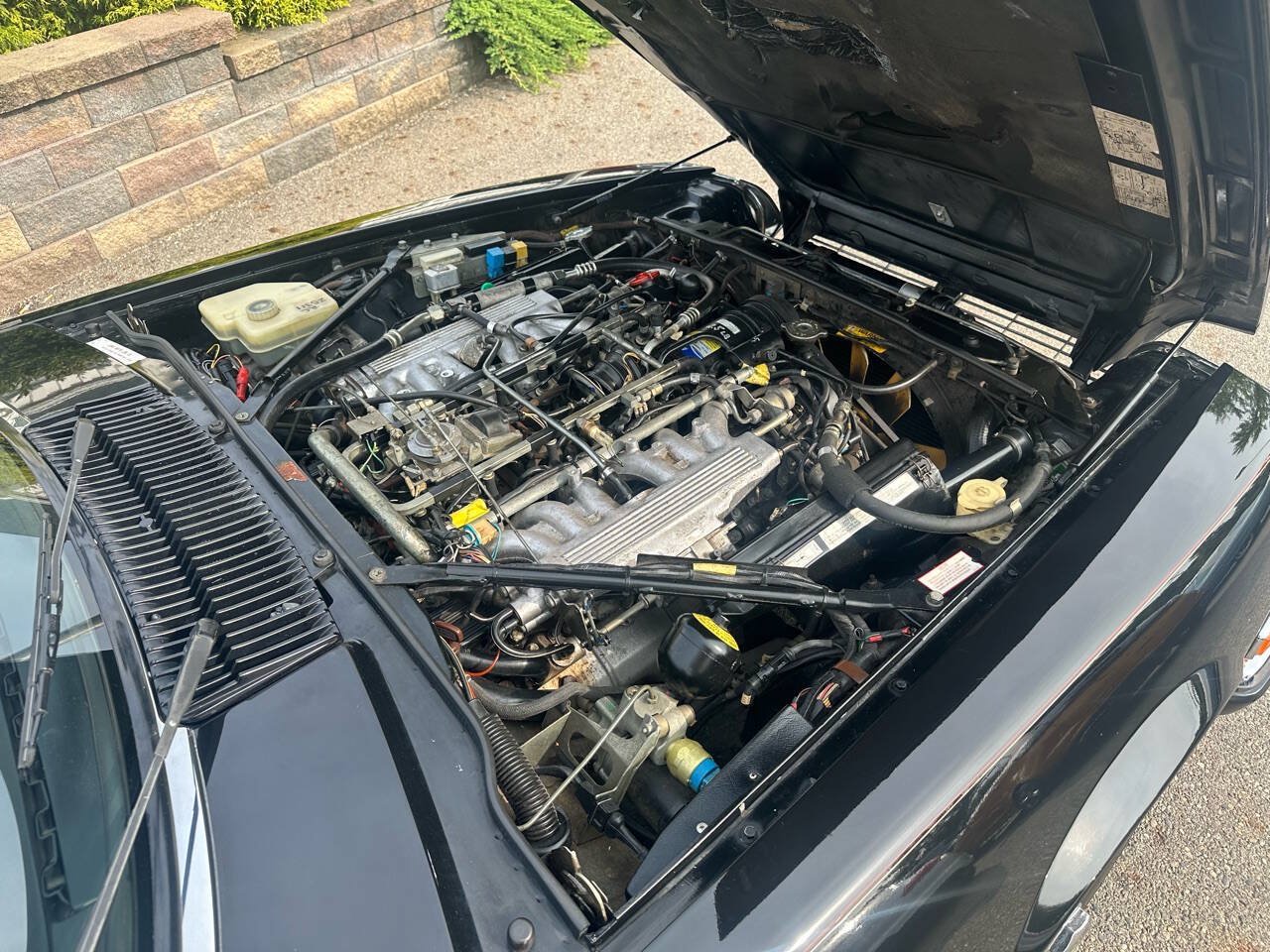 Used 1990 Jaguar XJS V12 Convertible RWD image 12