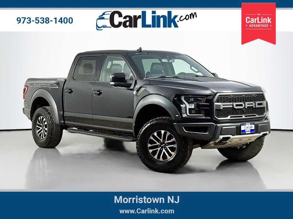 Used 2019 Ford F150 Raptor w/ Equipment Group 802A Luxury AWD/4WD image 1