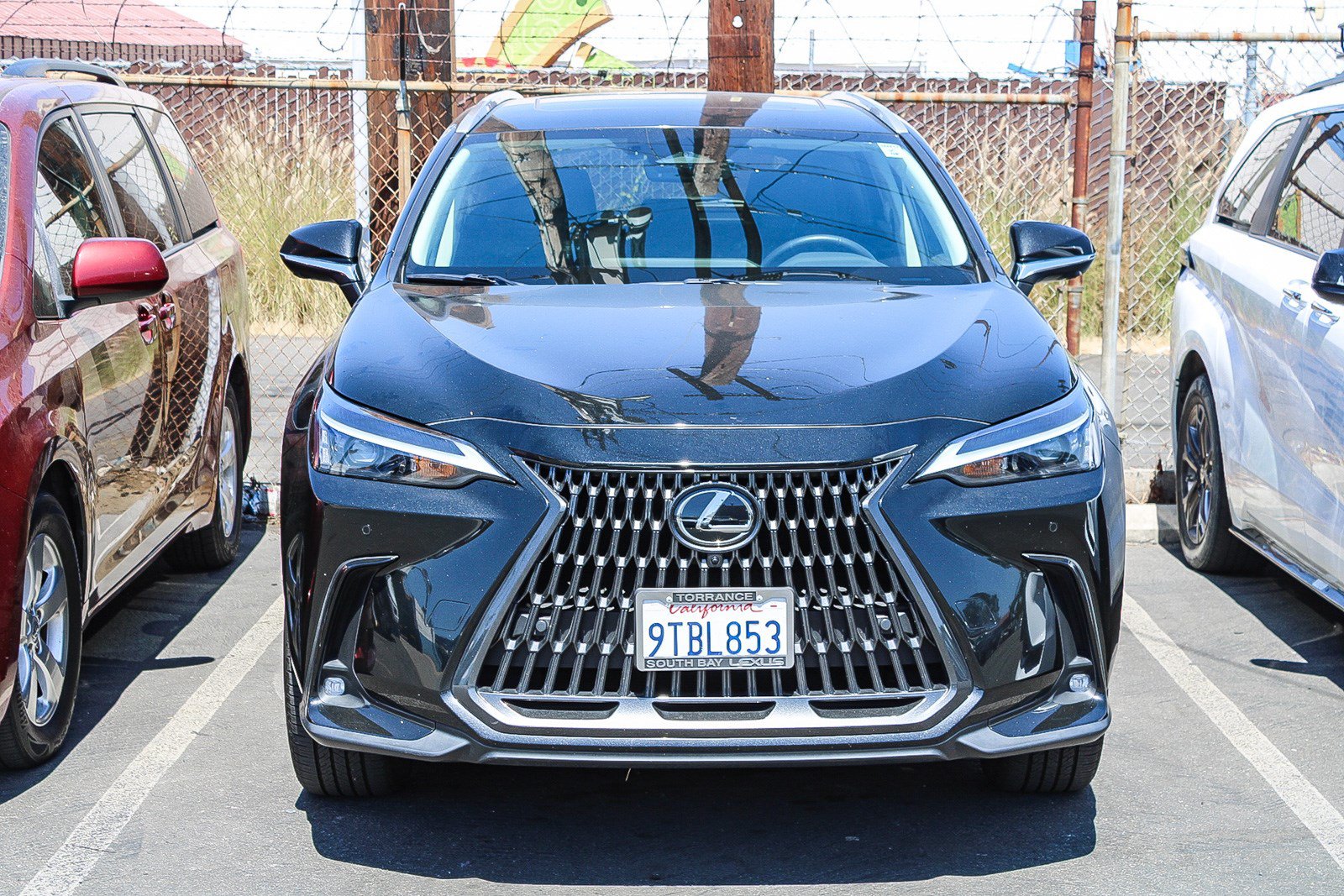 Used 2025 Lexus NX 350 AWD w/ Cold Area Package image 2