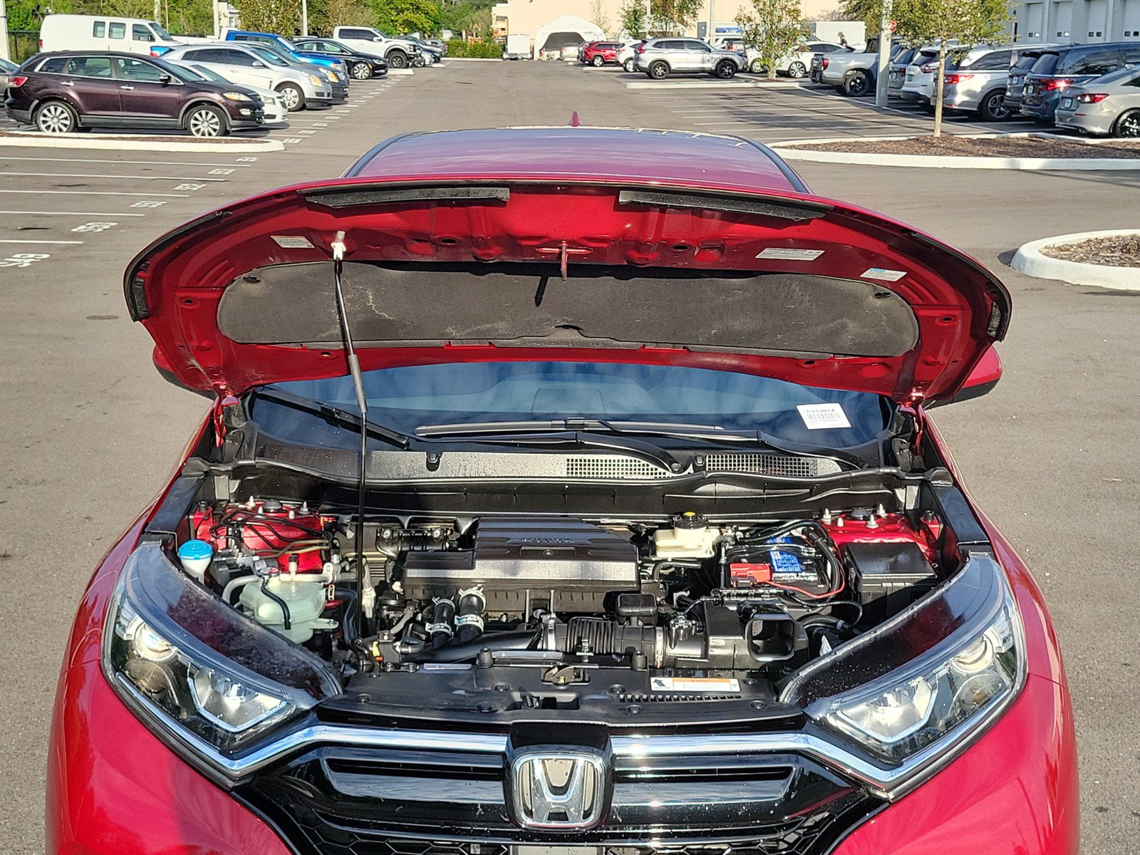 Used 2022 Honda CR-V Special Edition image 31