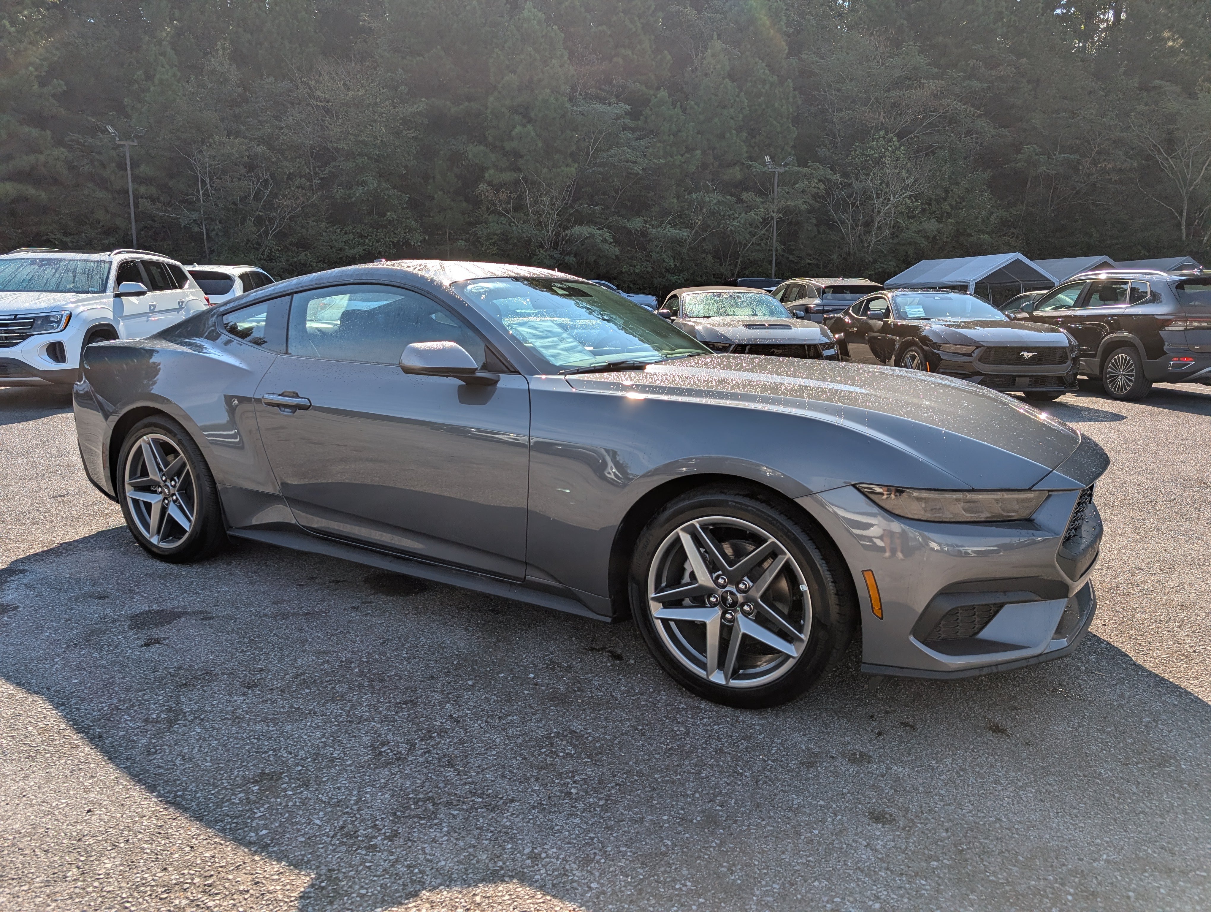 Used 2026 Ford Mustang Coupe RWD image 11