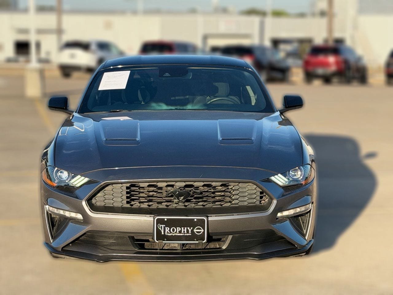 Used 2022 Ford Mustang Coupe w/ Equipment Group 101A RWD image 3