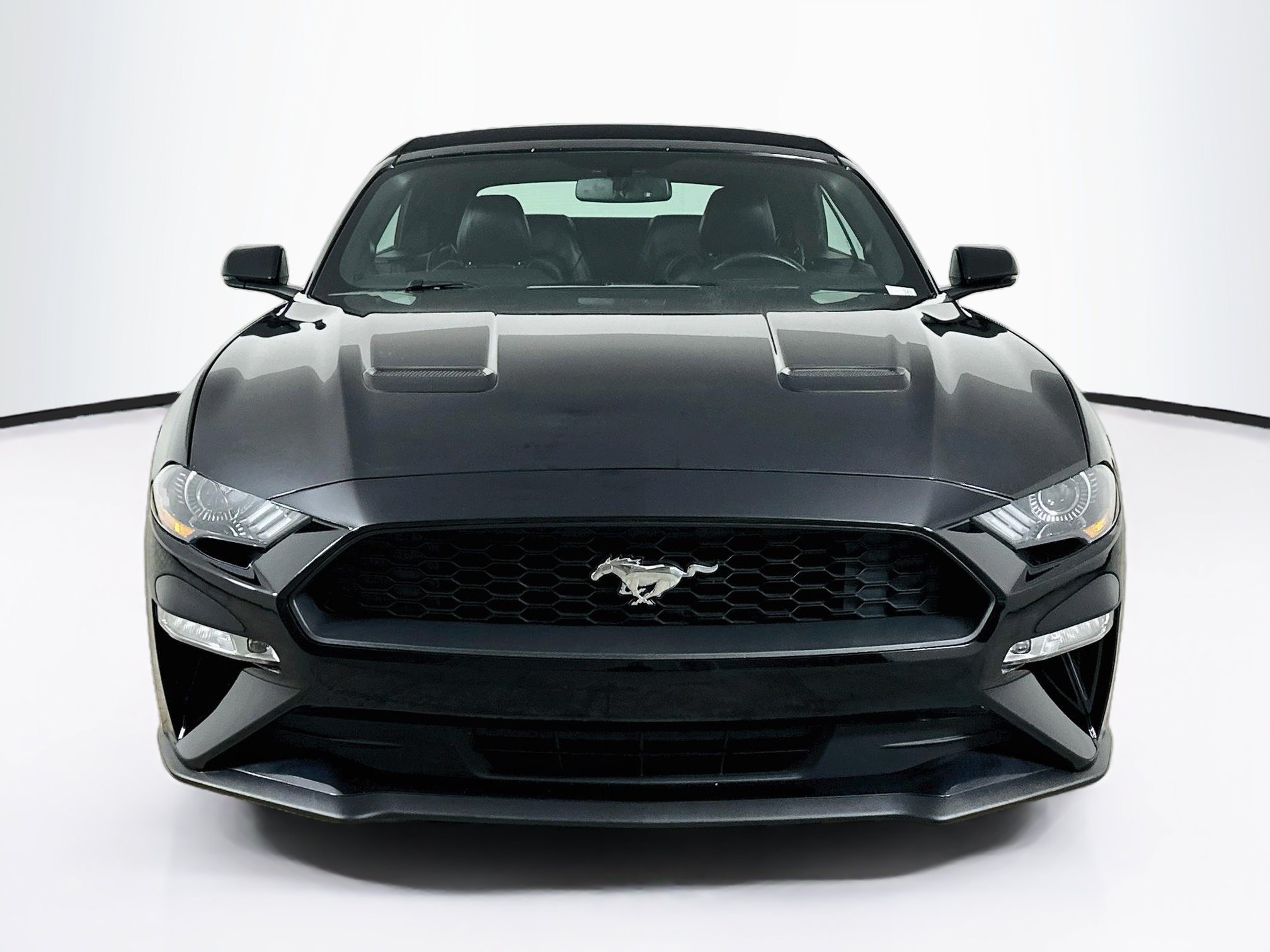 Used 2018 Ford Mustang Premium w/ Equipment Group 201A RWD image 2