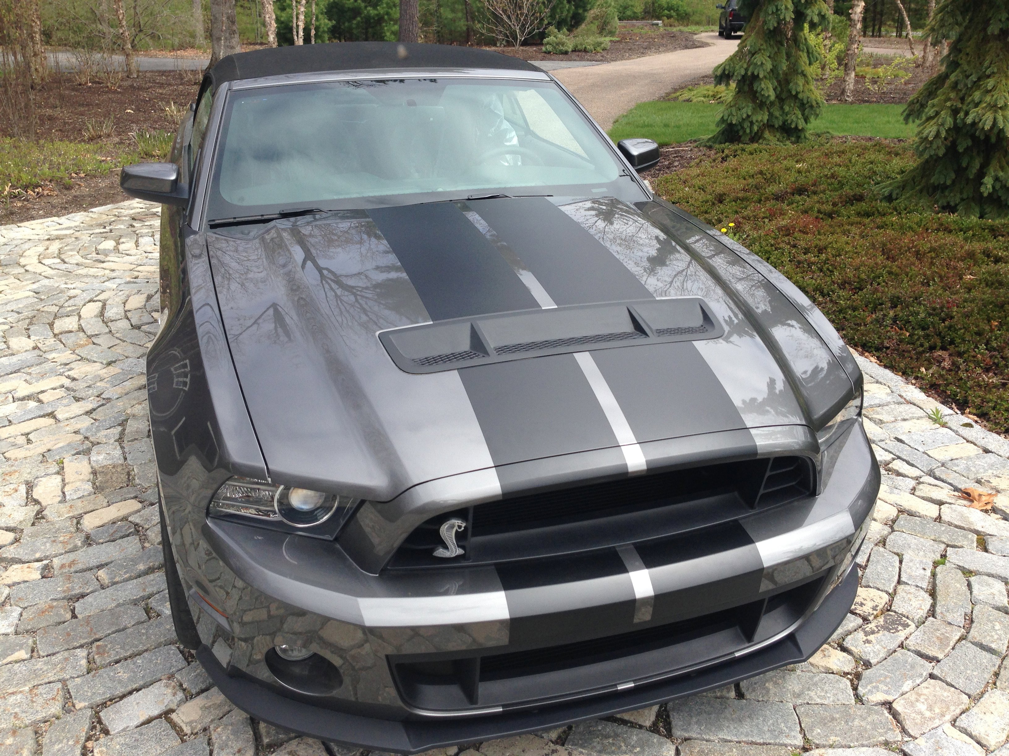 Used 2014 Ford Mustang Shelby GT500 w/ Equipment Group 821A RWD image 18
