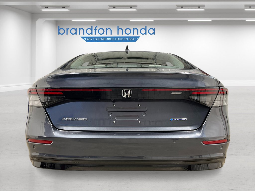 New 2026 Honda Accord EX-L image 4