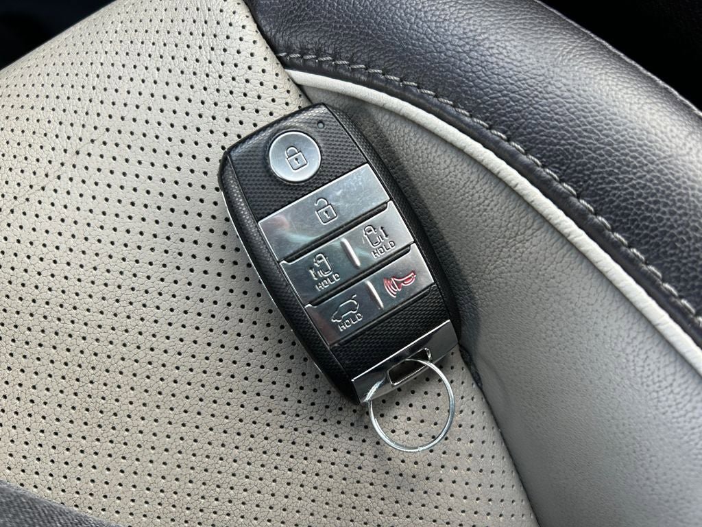 Used 2018 Kia Sedona SX Limited FWD image 31