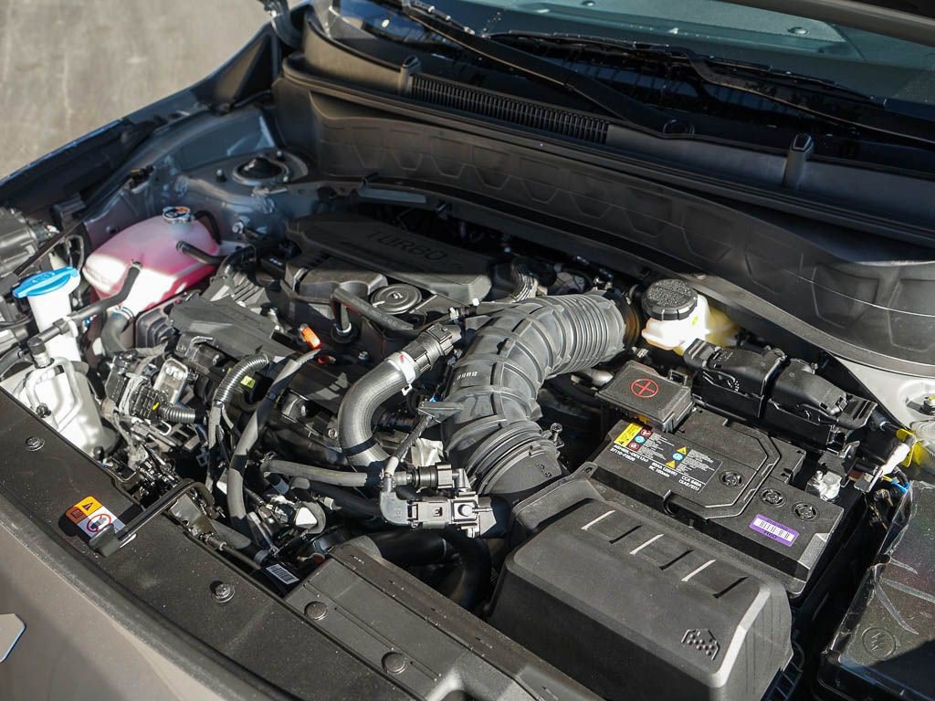 New 2026 Kia Seltos SX w/ SX Sunroof Package image 7