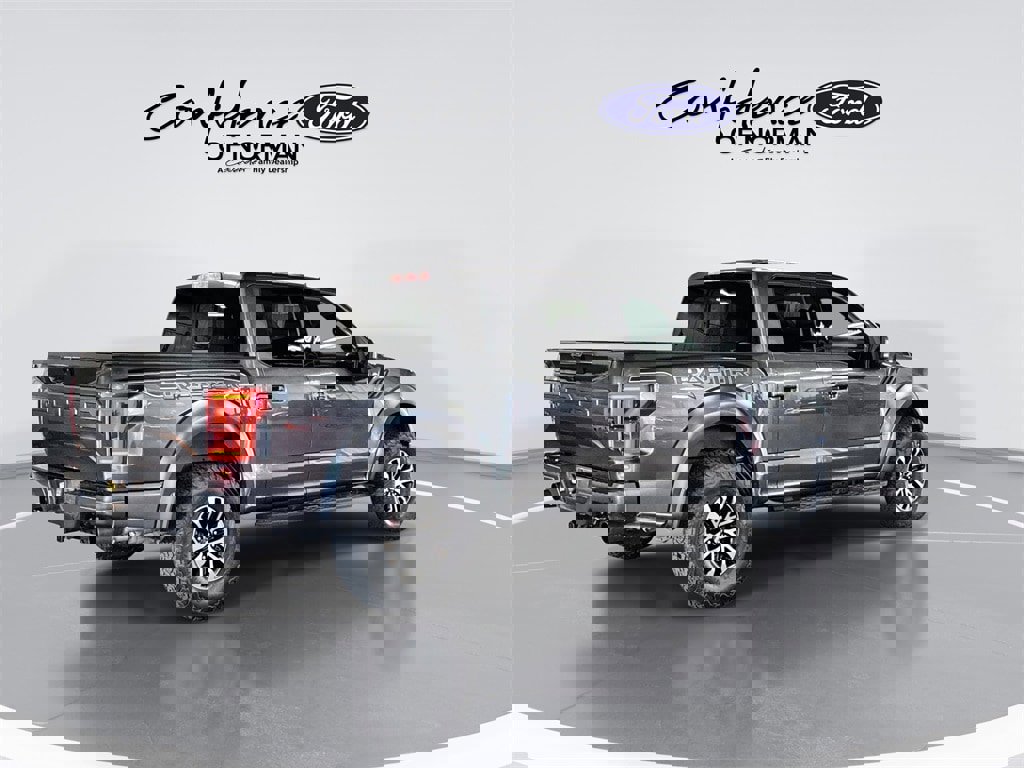 Used 2019 Ford F150 Raptor w/ Equipment Group 802A Luxury image 9