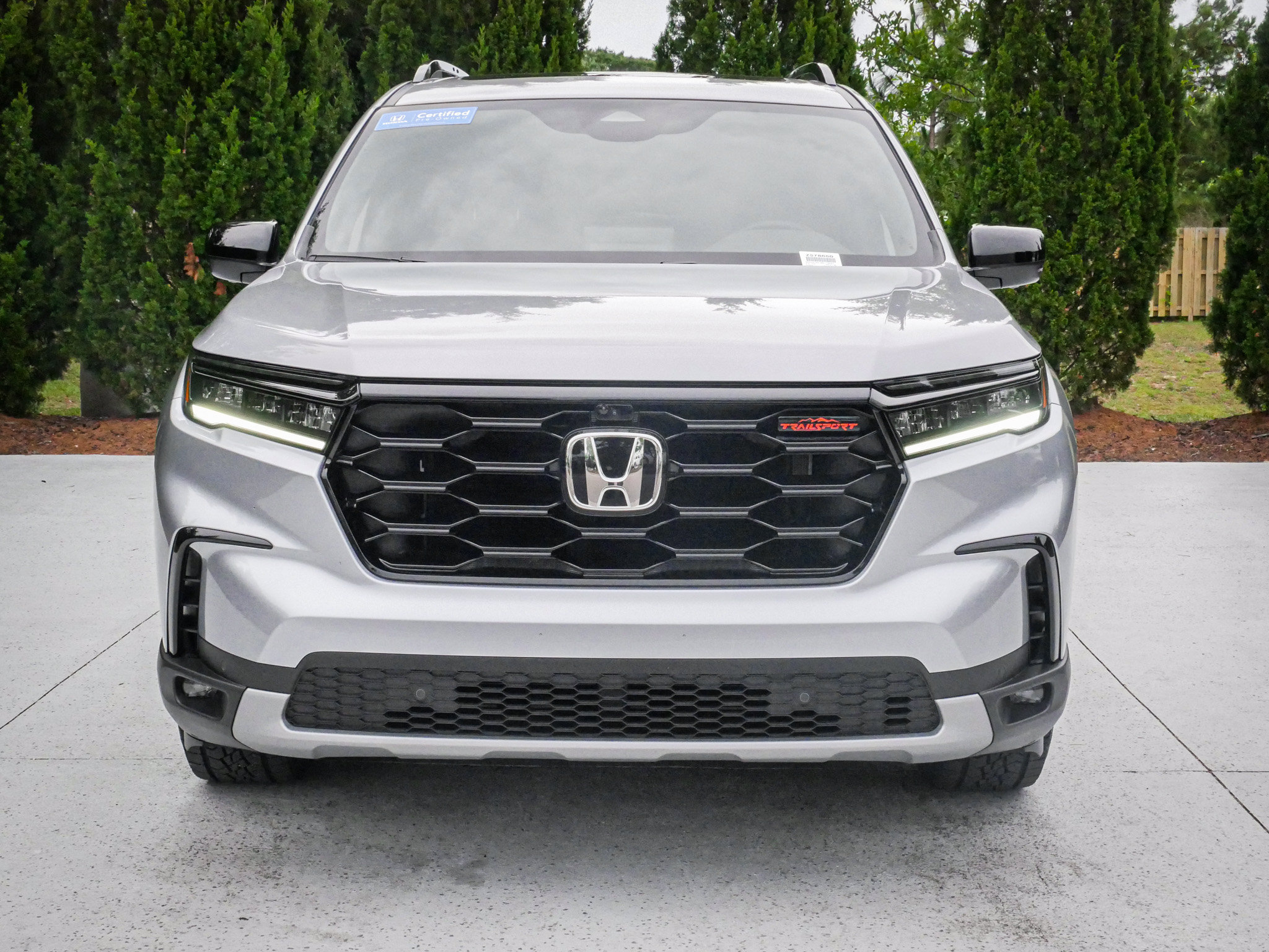 Used 2025 Honda Pilot TrailSport image 3