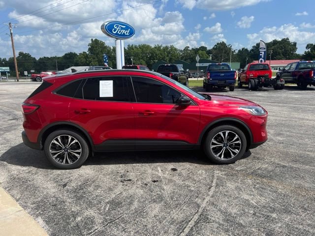 Used 2022 Ford Escape SEL w/ SEL Stealth AWD Package image 4