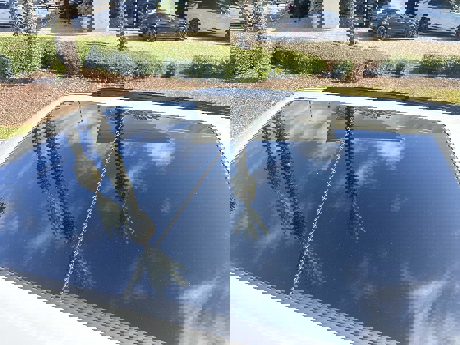 New 2025 Cadillac Escalade Sport Platinum w/ LPO, Floor Liner Package image 11