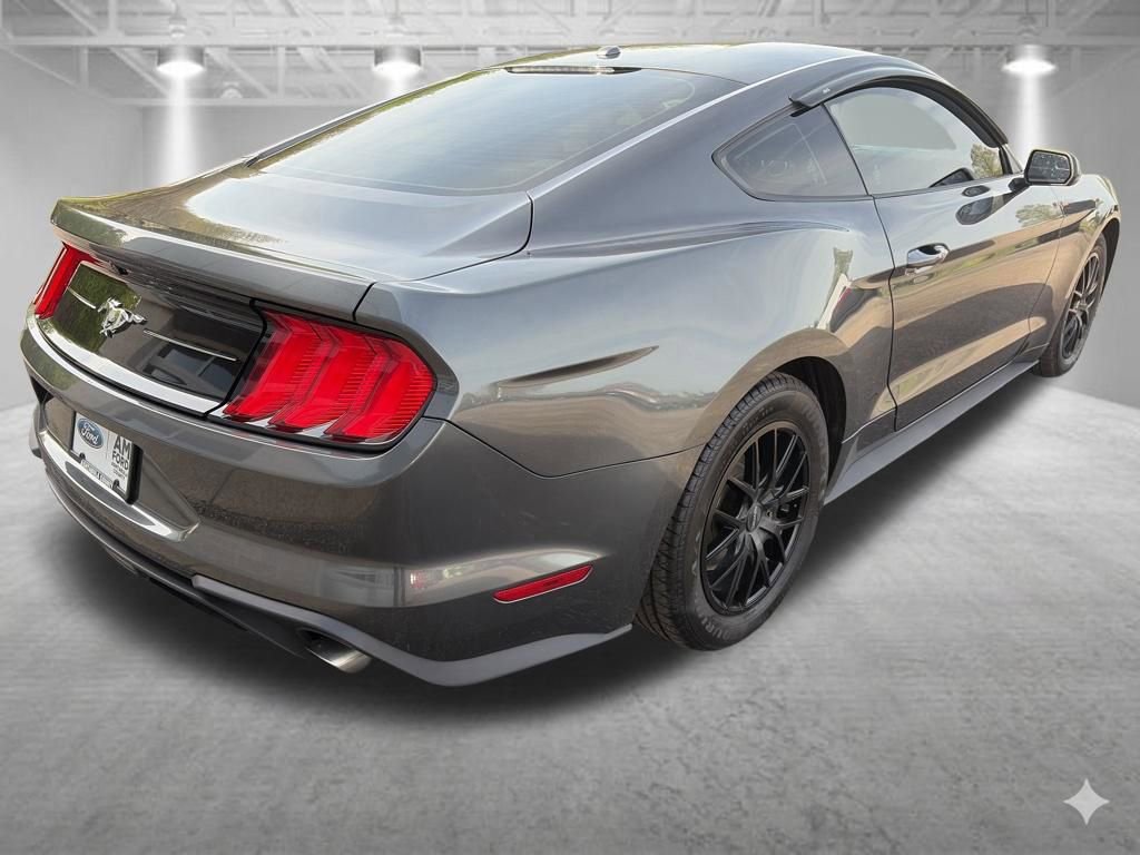 Used 2019 Ford Mustang Coupe RWD image 5