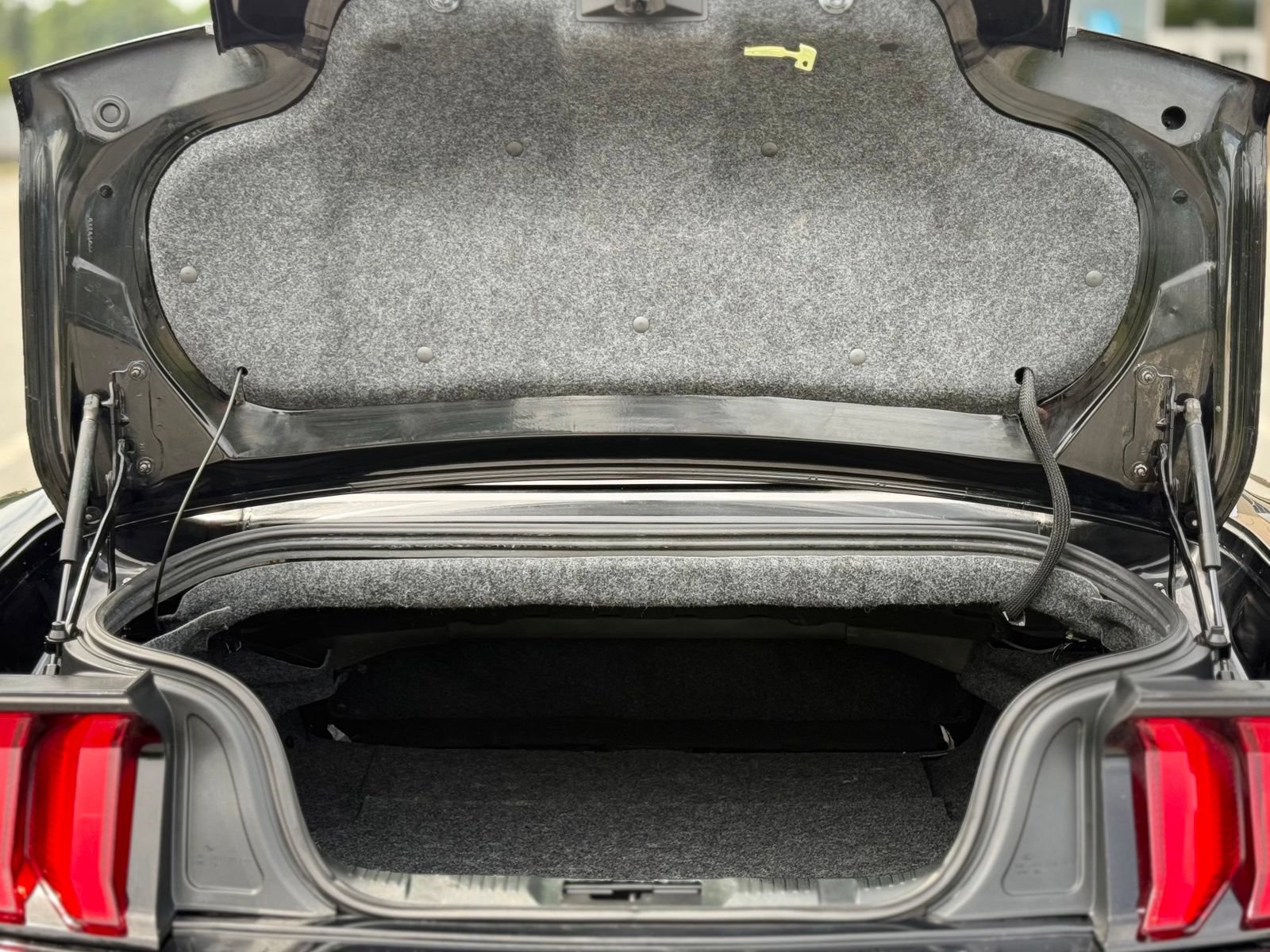 Used 2019 Ford Mustang Premium w/ Equipment Group 201A RWD image 45