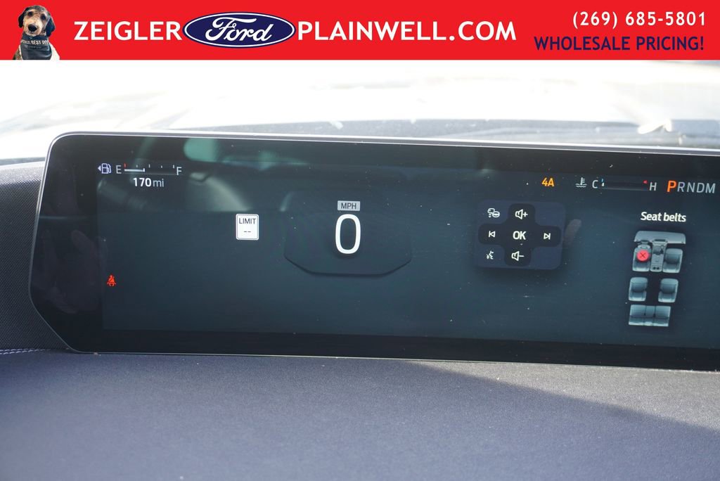 Used 2025 Ford Expedition Platinum image 31