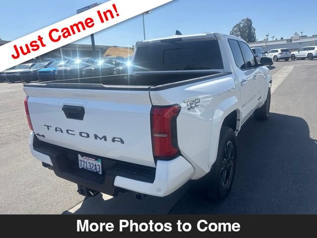 Used 2024 Toyota Tacoma TRD Sport w/ TRD Sport Premium Package AWD/4WD image 6
