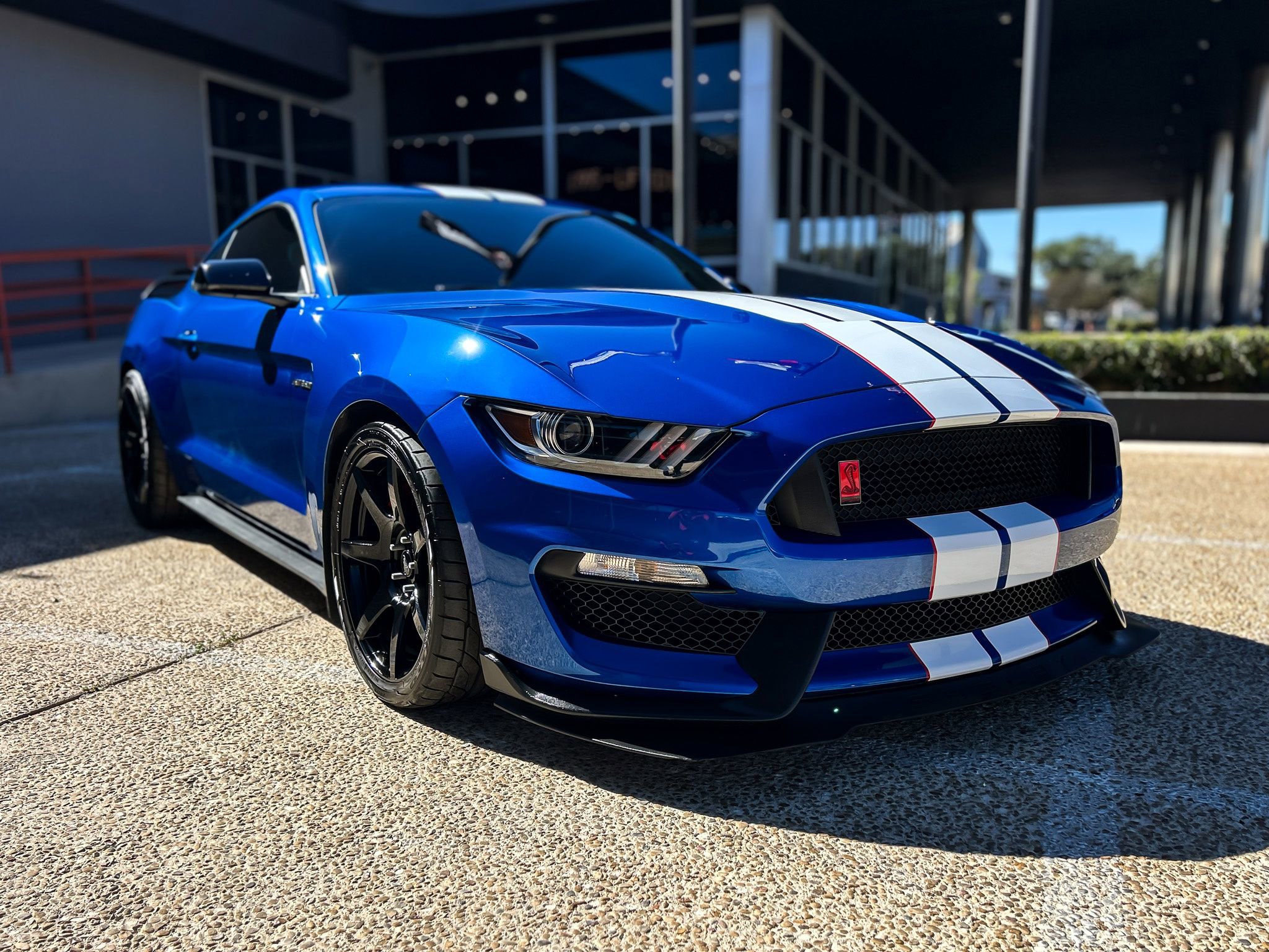 Used 2017 Ford Mustang Shelby GT350R w/ GT350R Equipment Group 920A