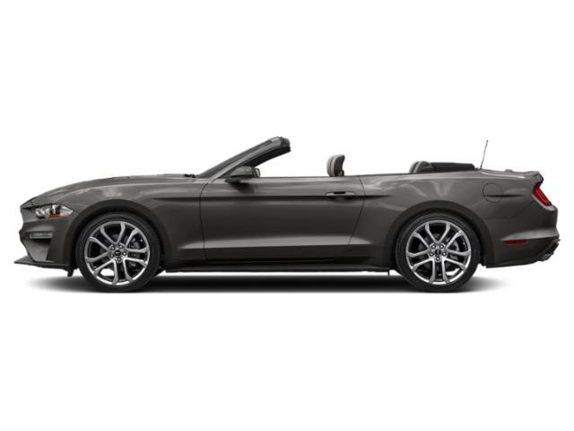 Certified 2022 Ford Mustang EcoBoost Convertible w/ Equipment Group 101A image 2