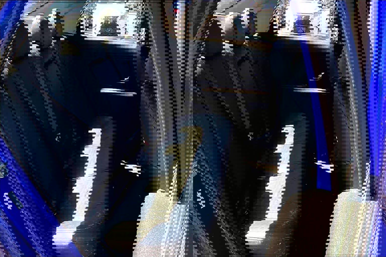 Used 2023 Hyundai Elantra Limited image 20