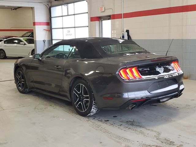 Used 2019 Ford Mustang Premium image 3