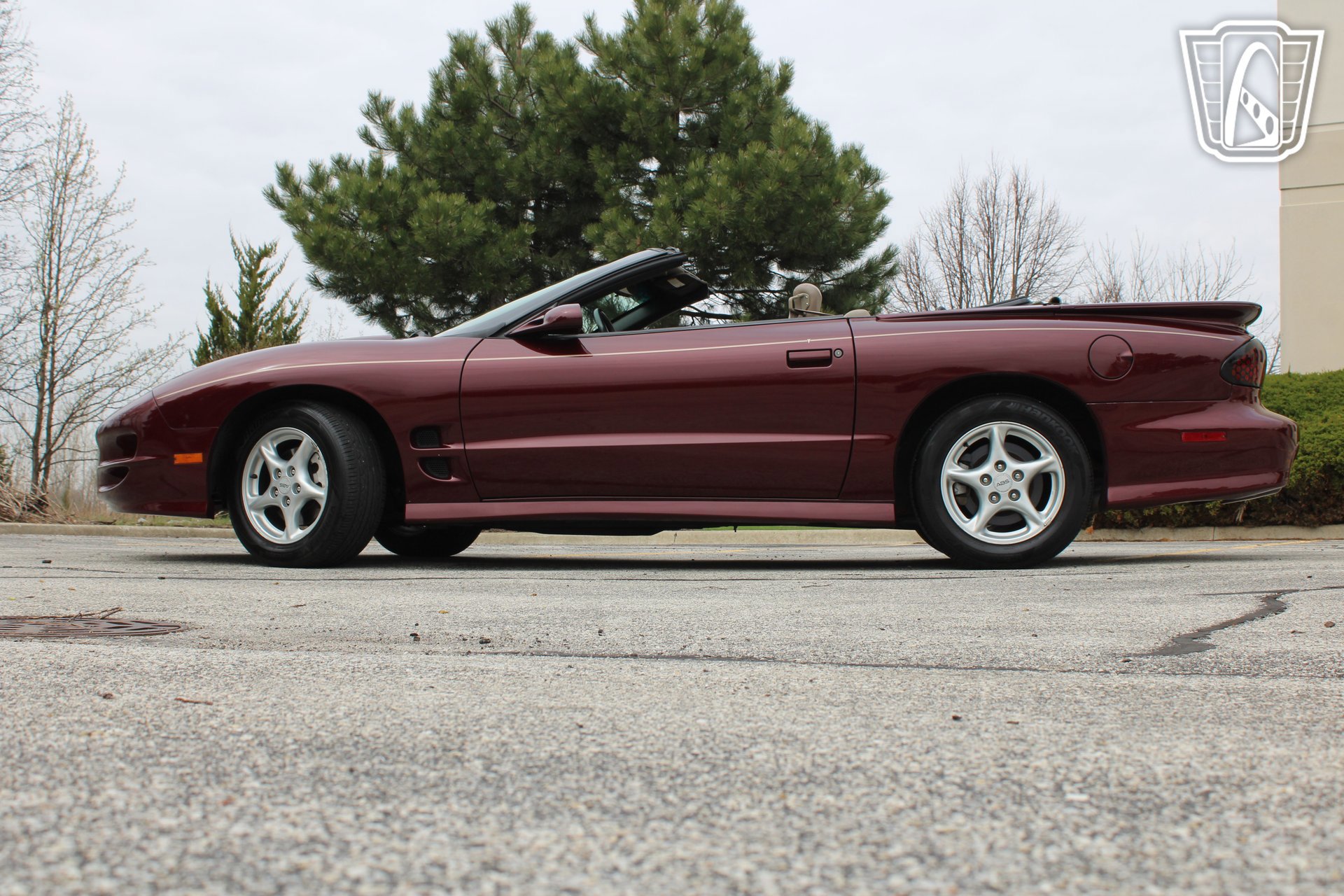 Used 2000 Pontiac Firebird Trans Am RWD image 6