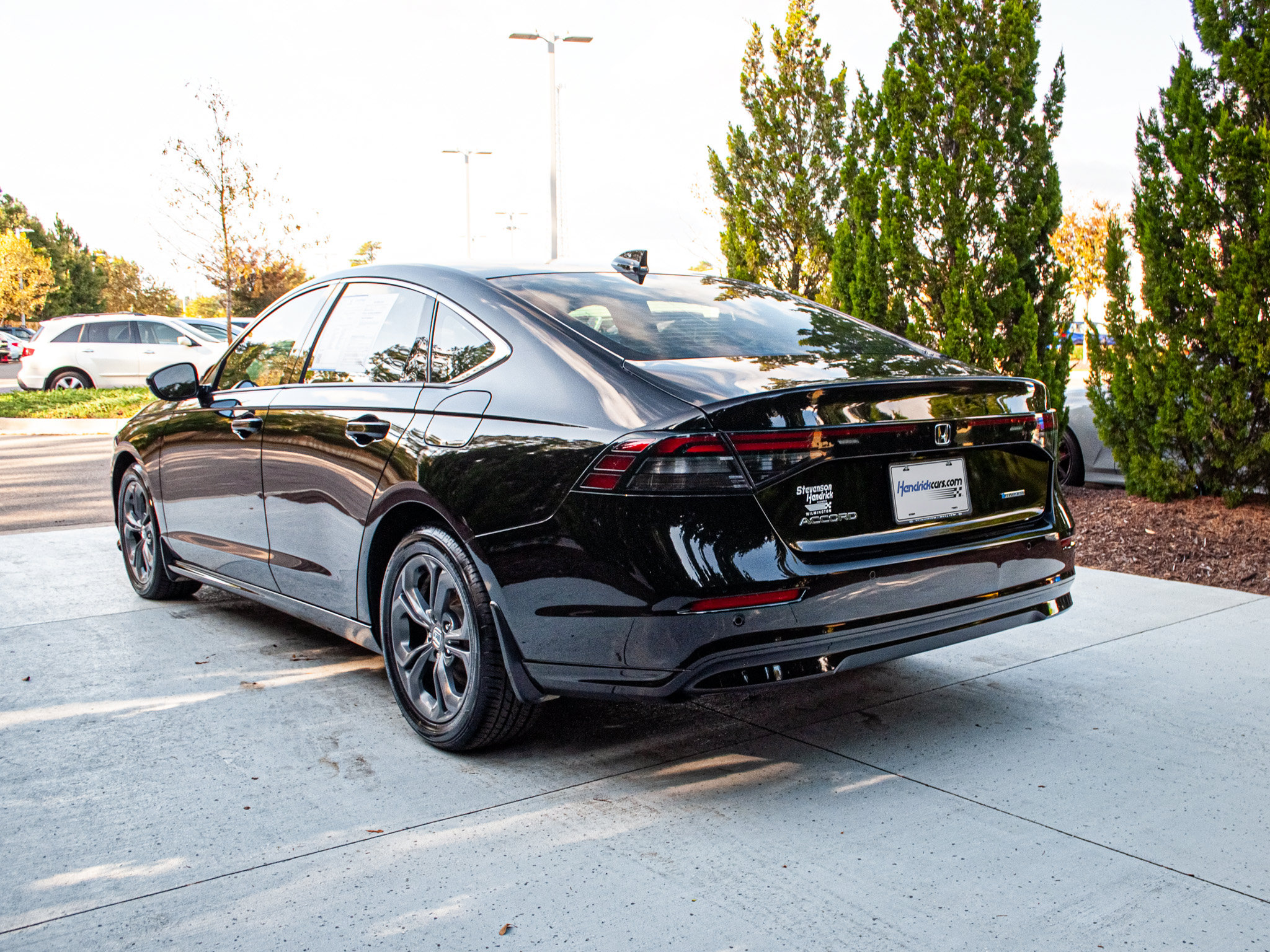 Used 2025 Honda Accord EX-L image 8