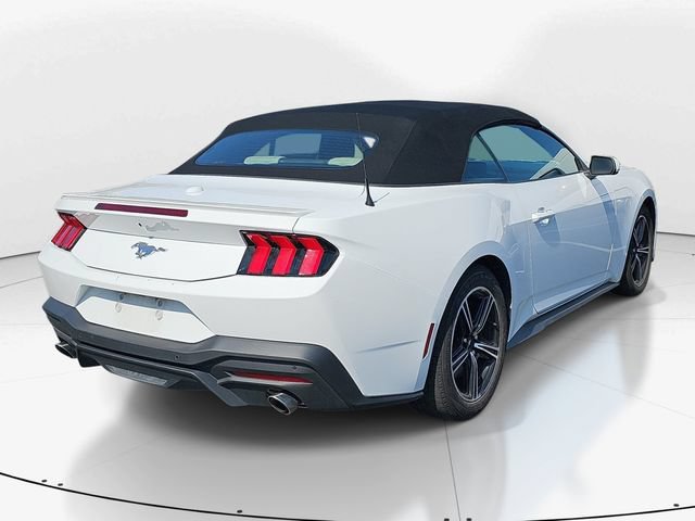 Certified 2024 Ford Mustang Premium RWD image 4