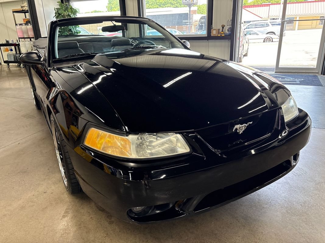 Used 1999 Ford Mustang Cobra RWD image 18