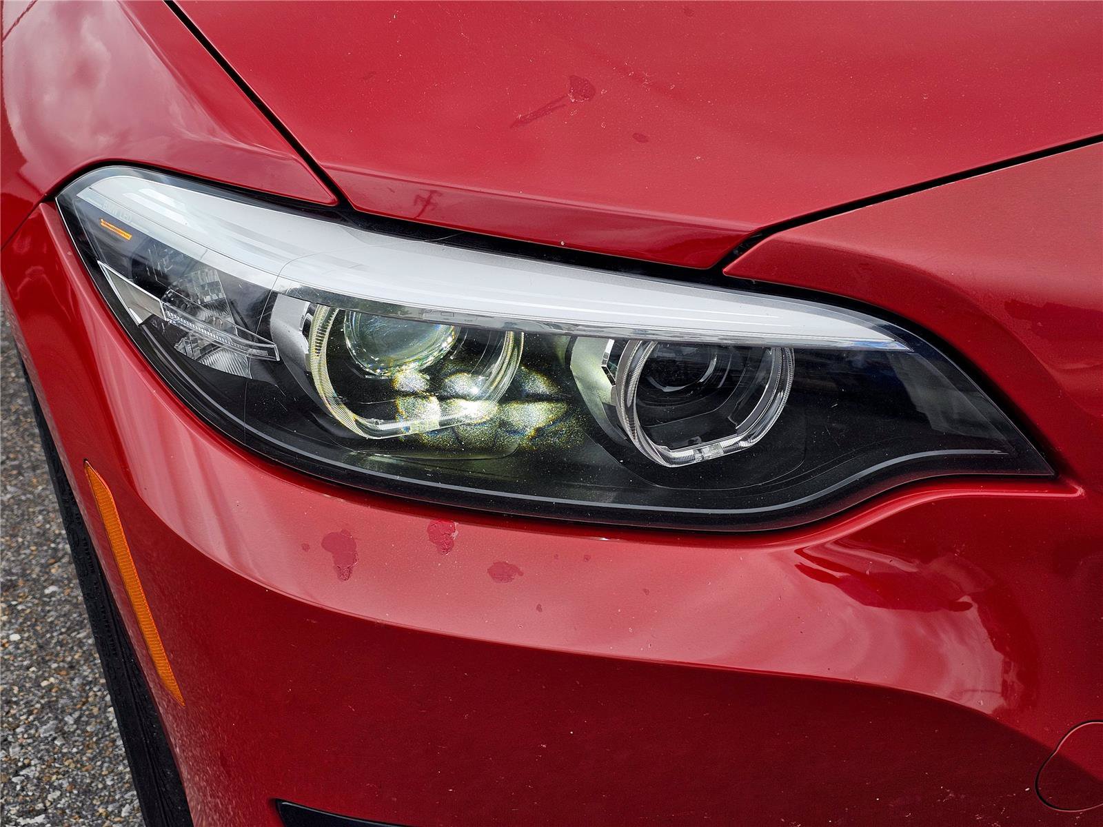 Used 2018 BMW 230i xDrive Convertible AWD/4WD image 4