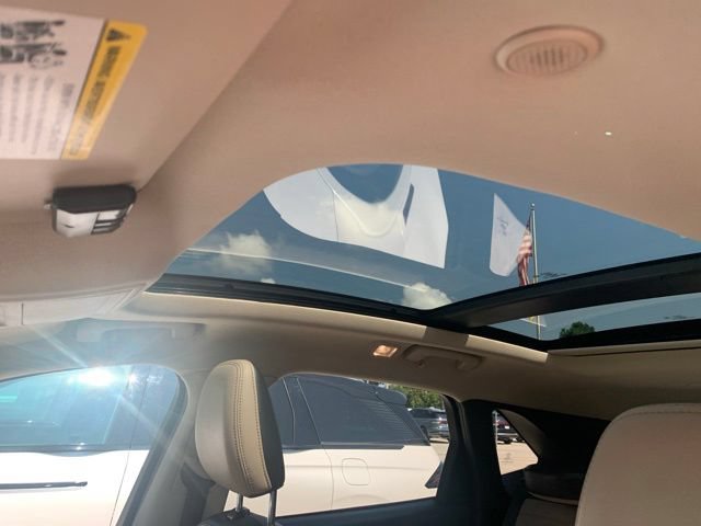 Used 2020 Ford Escape SEL FWD image 13