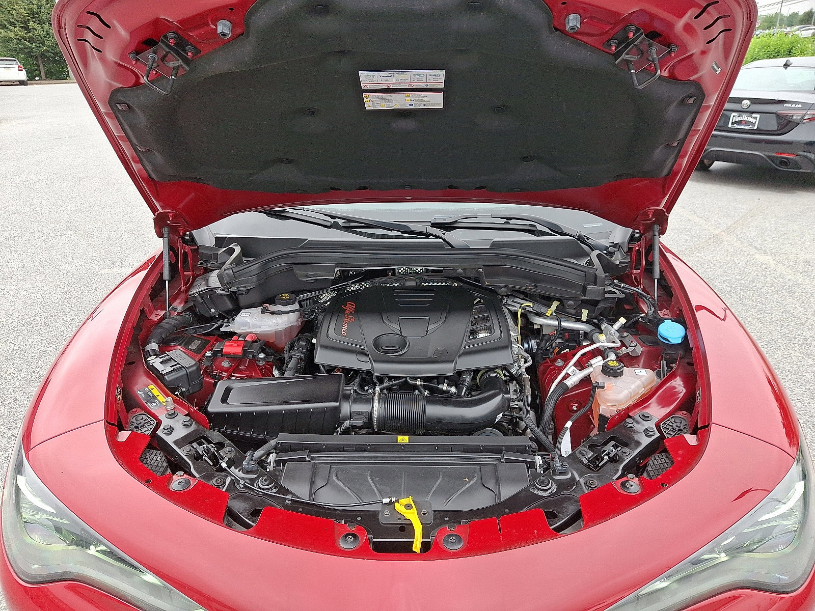 Used 2024 Alfa Romeo Stelvio Ti image 29