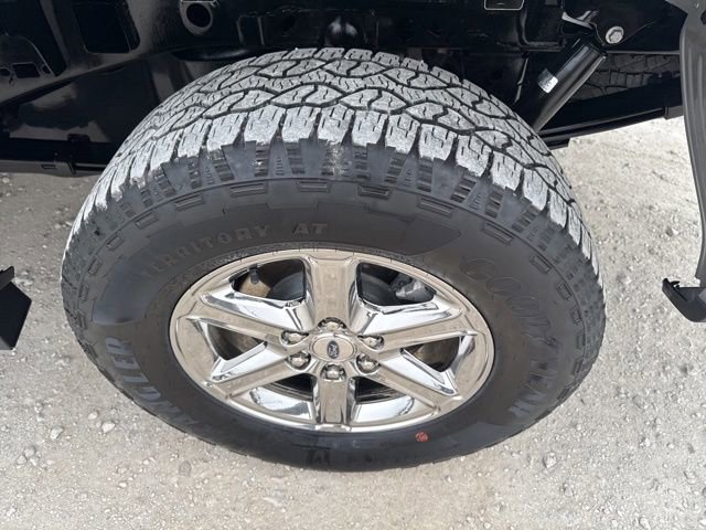 Used 2025 Ford F150 XLT w/ Equipment Group 301A Standard image 14