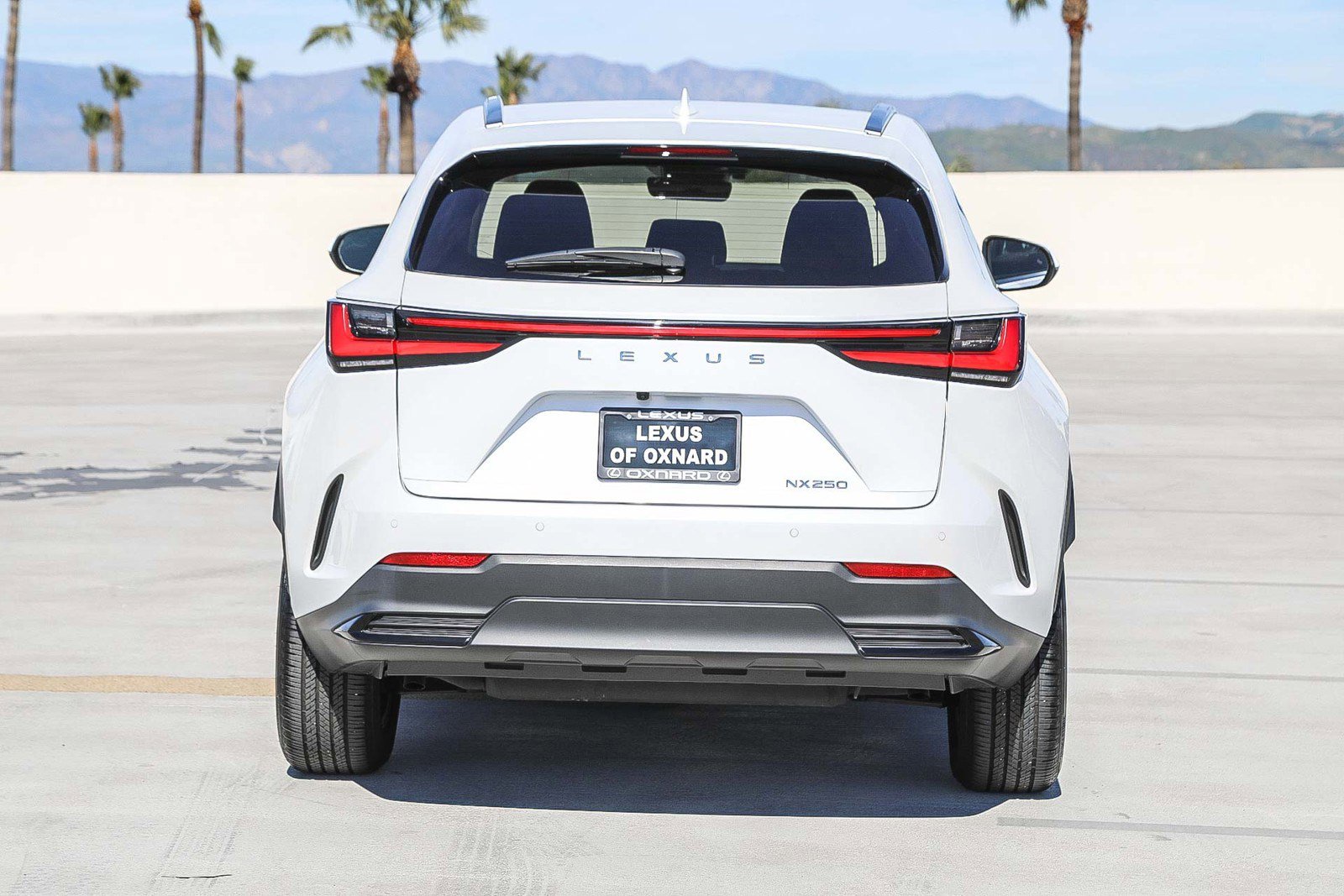 Used 2025 Lexus NX 250 FWD image 6