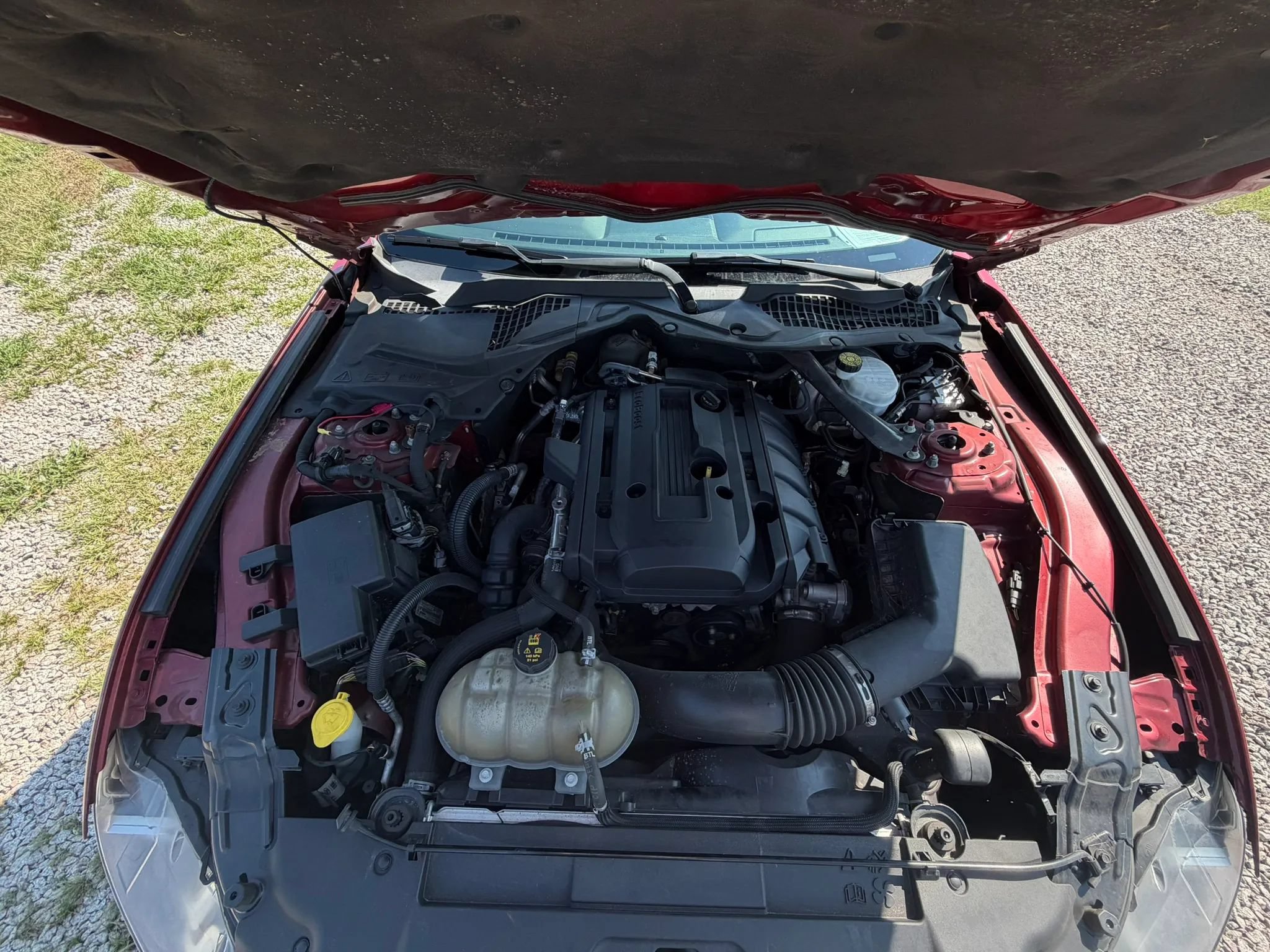 Used 2019 Ford Mustang Convertible RWD image 16