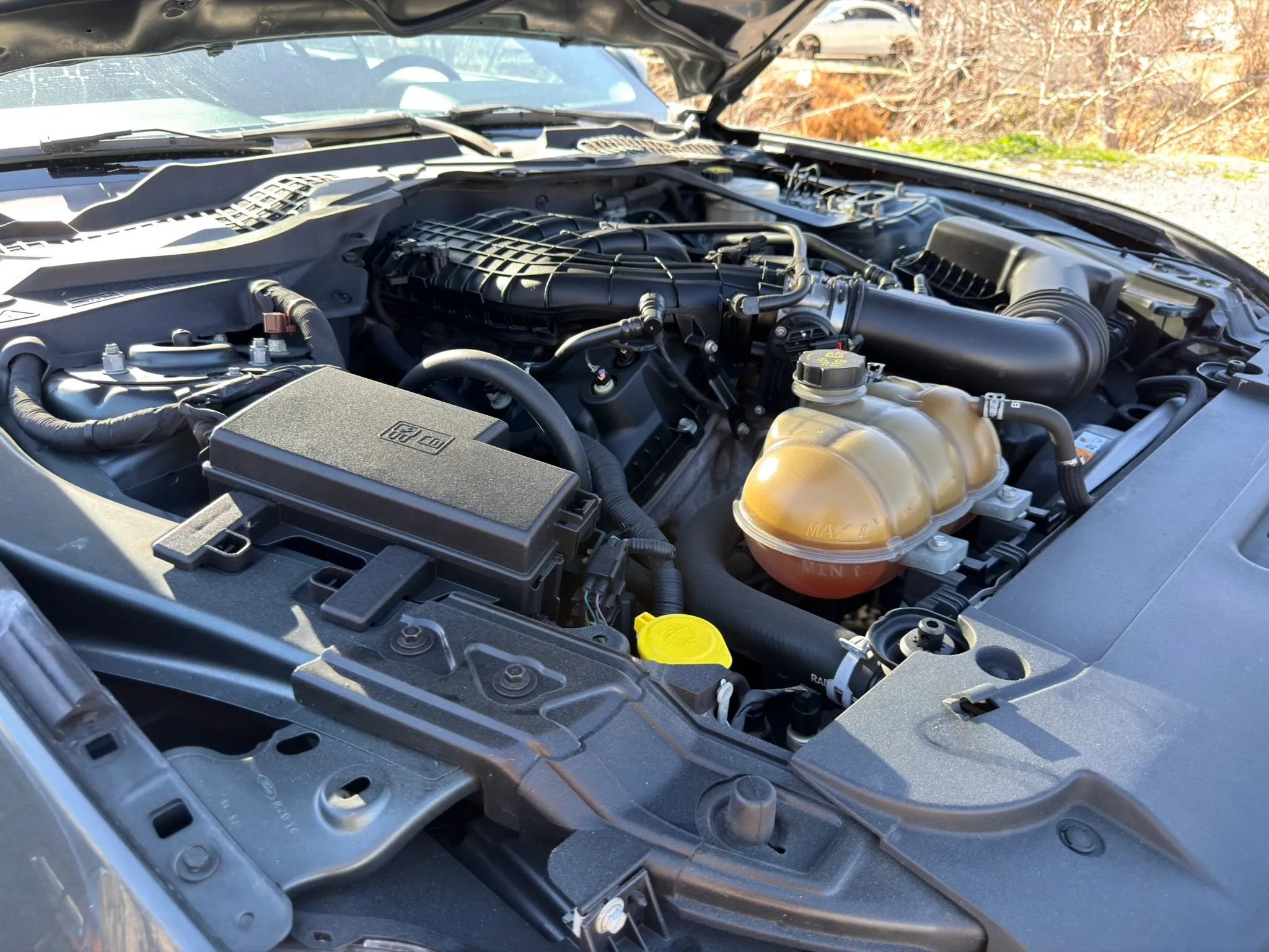 Used 2015 Ford Mustang Convertible w/ Equipment Group 051A RWD image 4