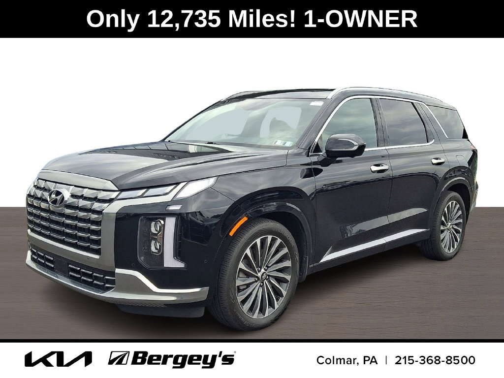 Used 2025 Hyundai Palisade Calligraphy AWD/4WD image 1