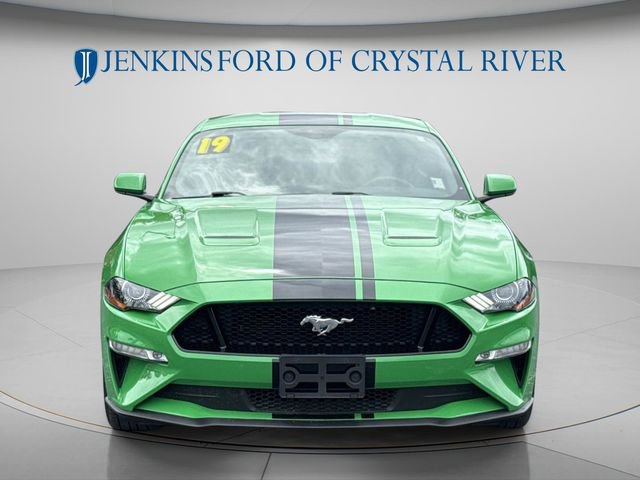 Certified 2019 Ford Mustang GT w/ Equipment Group 301A RWD image 14