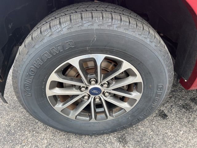 Used 2019 Ford F150 XLT w/ Equipment Group 302A Luxury AWD/4WD image 20