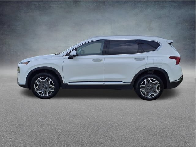 Used 2023 Hyundai Santa Fe Limited AWD/4WD image 5