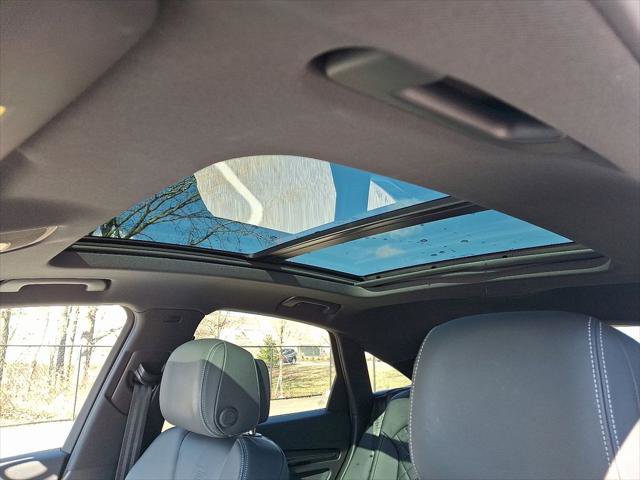 Certified 2023 Audi SQ5 Premium Plus w/ Premium Plus Package image 15