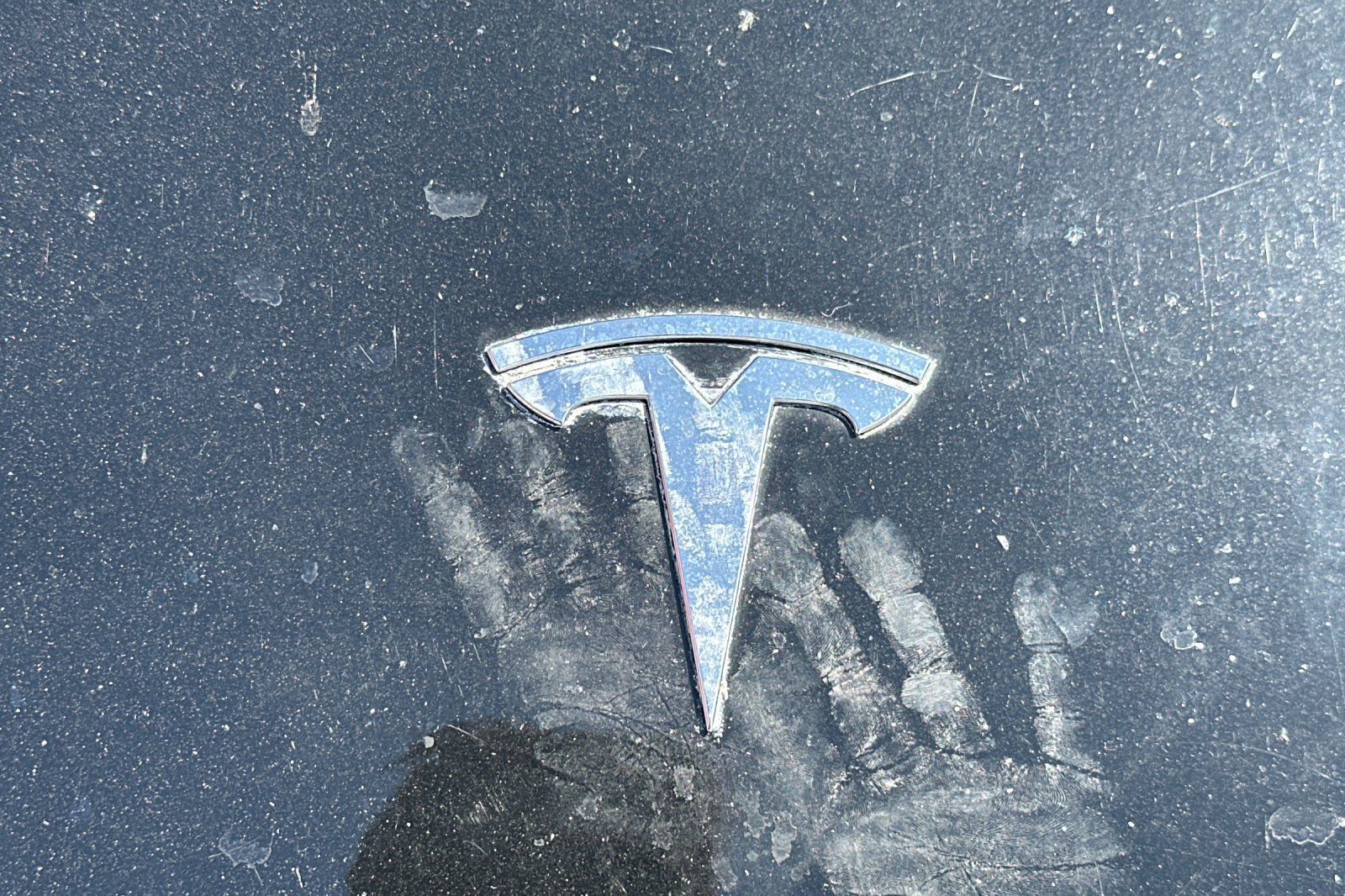 Used 2019 Tesla Model 3 Mid Range RWD image 3