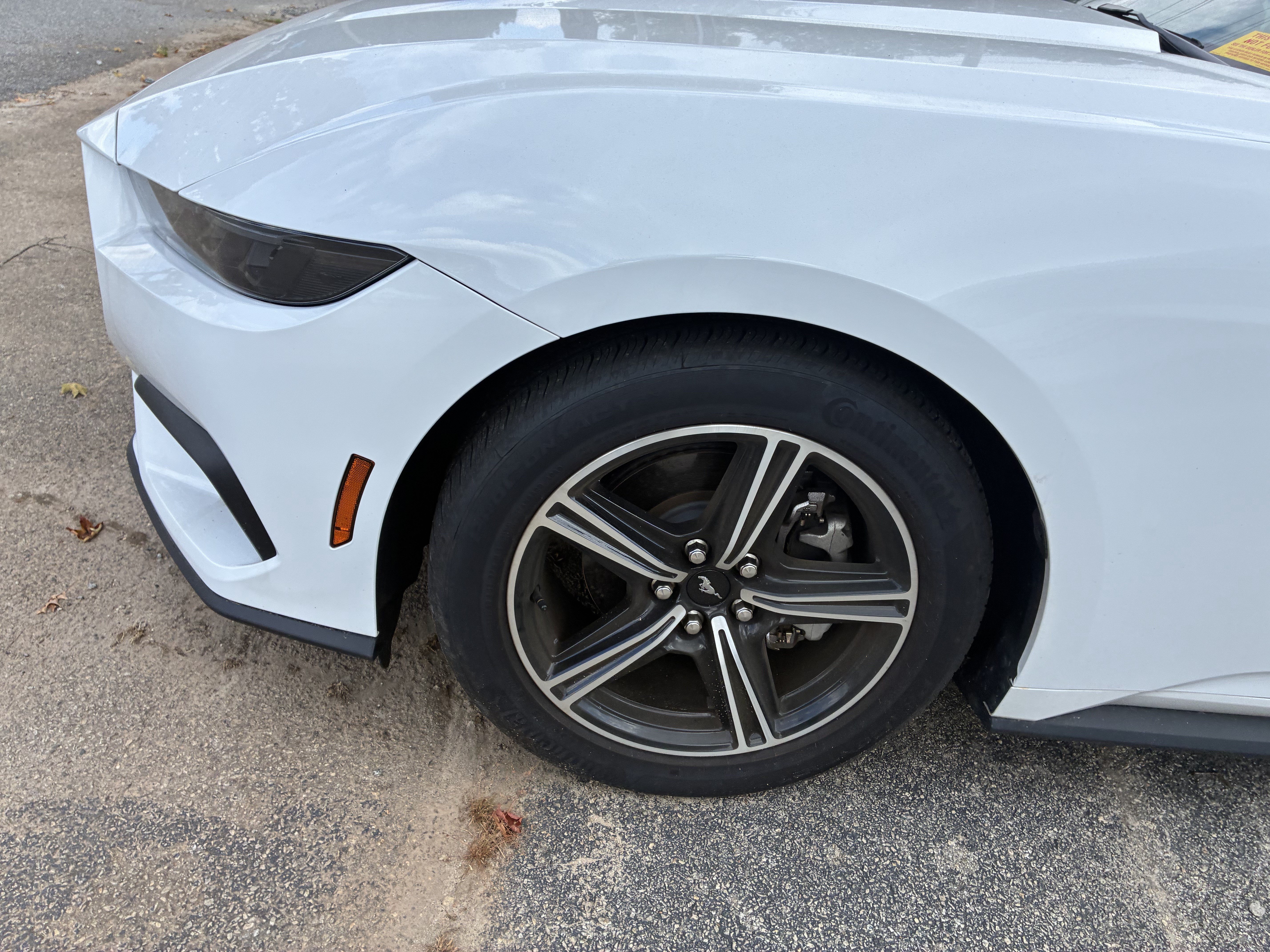 Used 2025 Ford Mustang Coupe RWD image 5