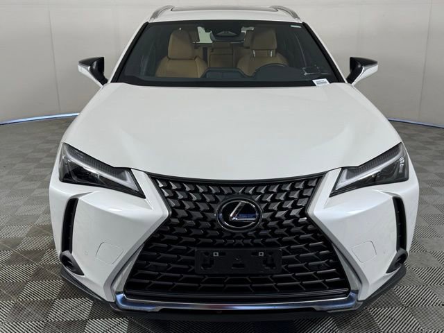 Used 2025 Lexus UX 300h AWD w/ Cold Area Package image 10