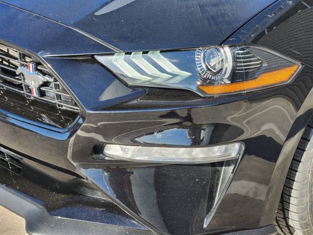 Used 2021 Ford Mustang Premium w/ 2.3L High Performance Package image 10