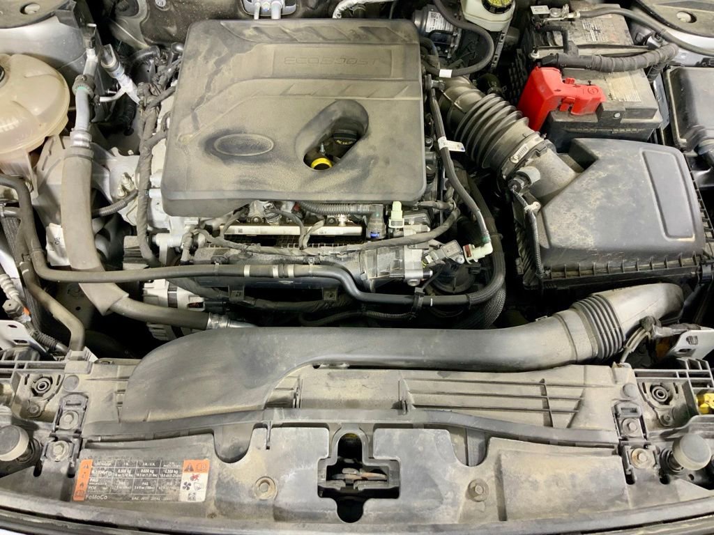 Used 2020 Ford Escape SE image 10