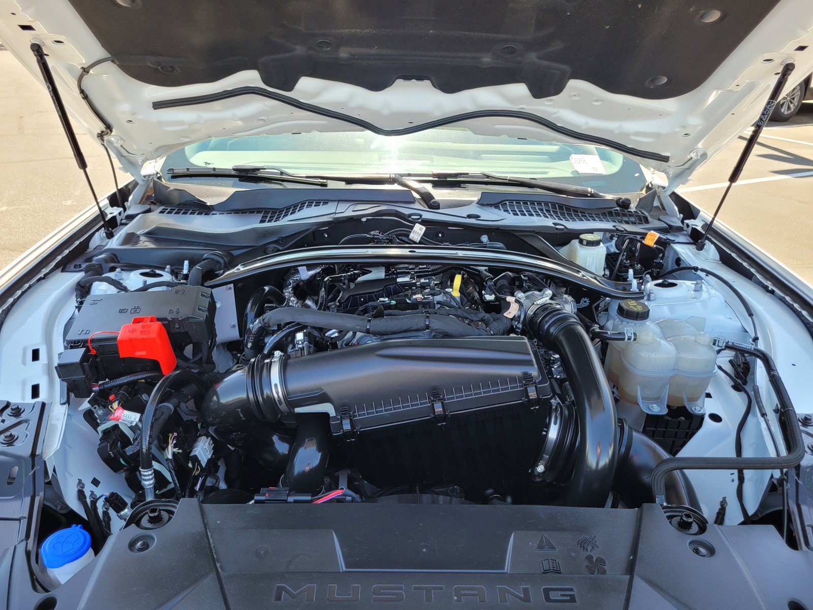 Used 2025 Ford Mustang Premium RWD image 28