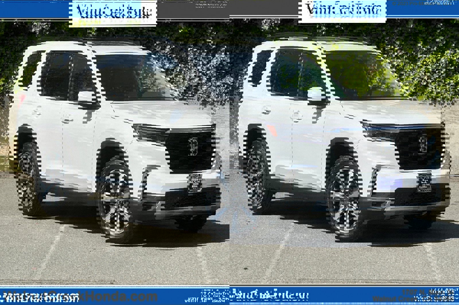 New 2025 Honda Pilot Elite