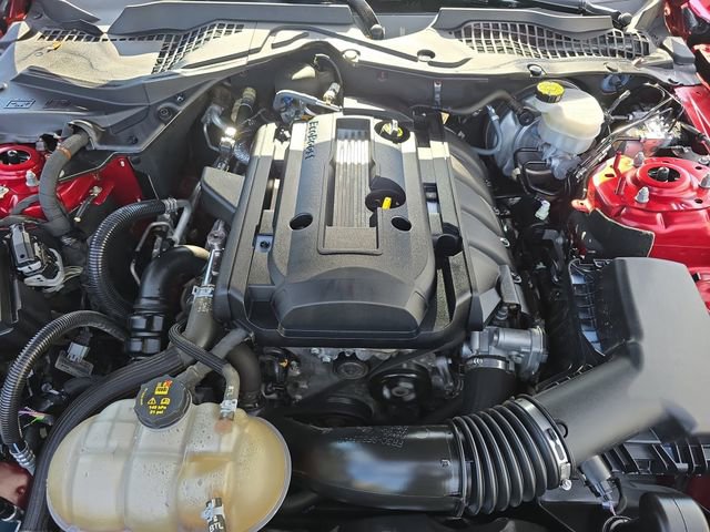 Used 2019 Ford Mustang EcoBoost image 30