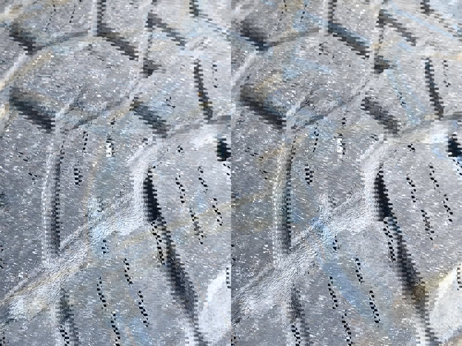 Used 2021 Jeep Wrangler Unlimited Rubicon image 11