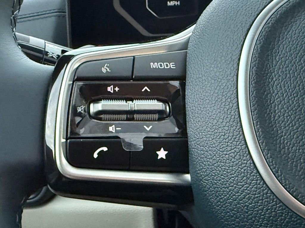 New 2026 Kia Carnival SX image 10